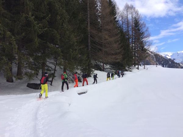 Clicca per vedere l'immagine alla massima grandezza