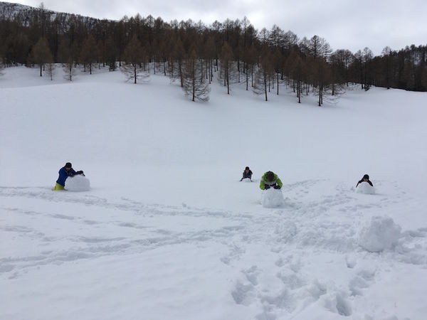 Clicca per vedere l'immagine alla massima grandezza