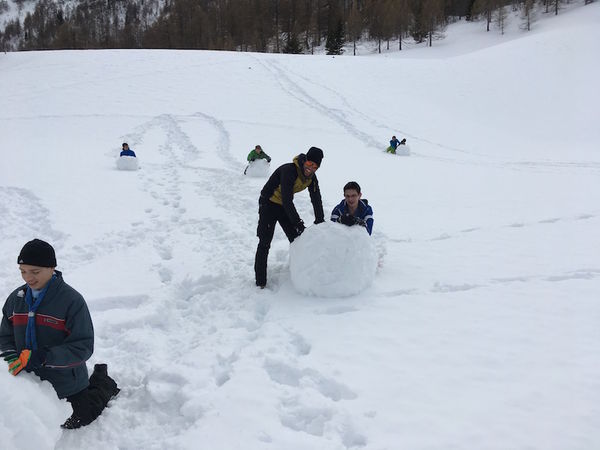 Clicca per vedere l'immagine alla massima grandezza