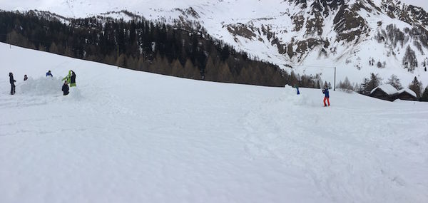 Clicca per vedere l'immagine alla massima grandezza