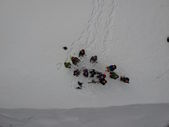 180224_PIO_UscitaInvernale_026.jpg