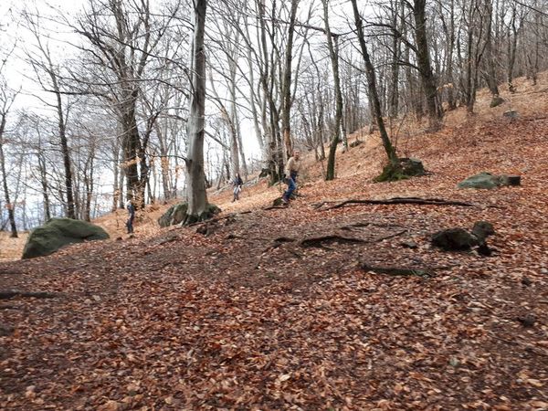 Clicca per vedere l'immagine alla massima grandezza