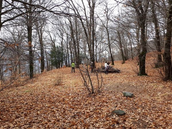 Clicca per vedere l'immagine alla massima grandezza