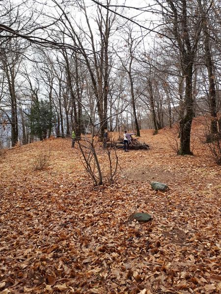 Clicca per vedere l'immagine alla massima grandezza