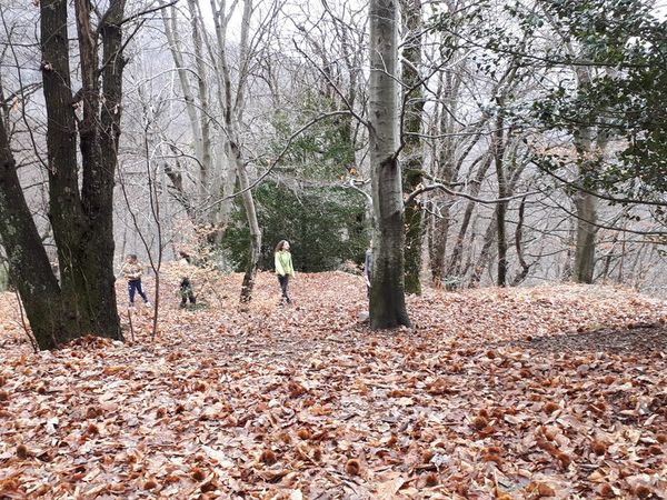 Clicca per vedere l'immagine alla massima grandezza