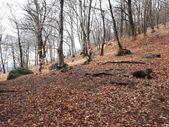 180329_ESPLO_CampoPasquale_066.jpg