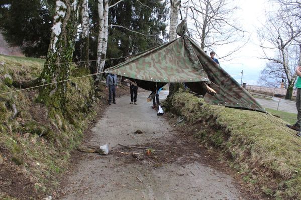 Clicca per vedere l'immagine alla massima grandezza