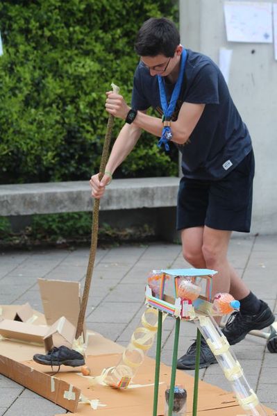 Clicca per vedere l'immagine alla massima grandezza