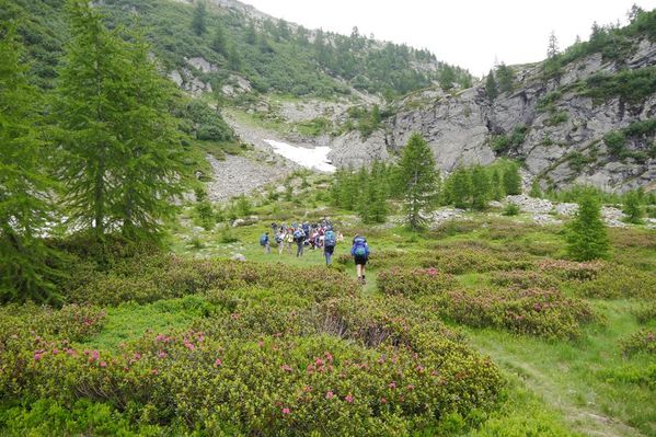 Clicca per vedere l'immagine alla massima grandezza