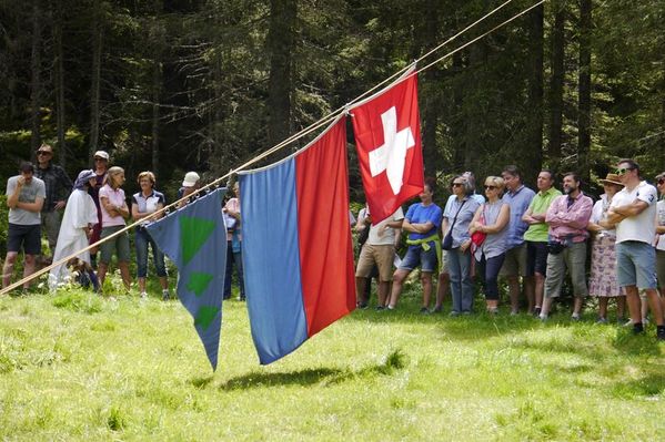 Clicca per vedere l'immagine alla massima grandezza