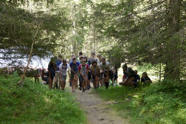 Clicca per vedere l'immagine alla massima grandezza
