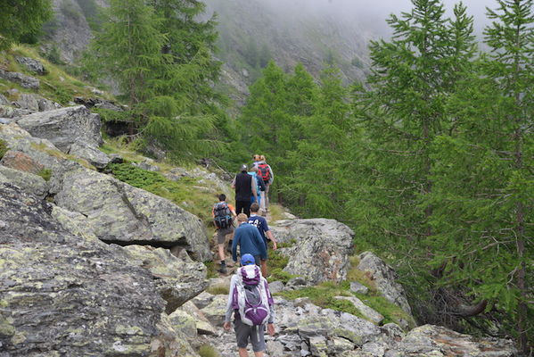 Clicca per vedere l'immagine alla massima grandezza