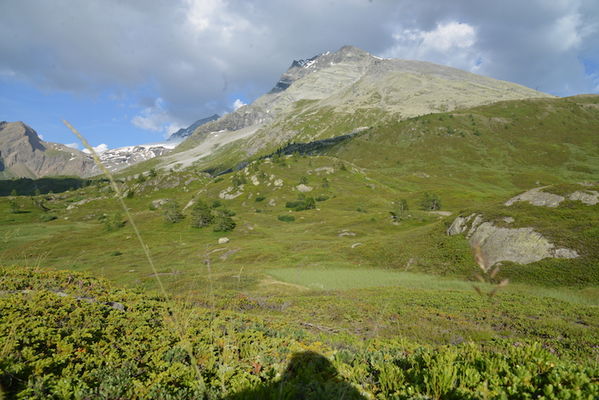Clicca per vedere l'immagine alla massima grandezza