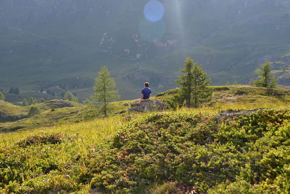 Clicca per vedere l'immagine alla massima grandezza