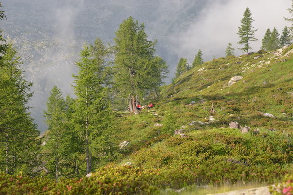 Clicca per vedere l'immagine alla massima grandezza