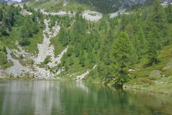 Clicca per vedere l'immagine alla massima grandezza