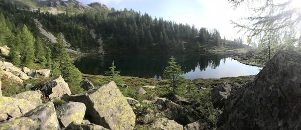 Clicca per vedere l'immagine alla massima grandezza