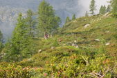 180701_PIO_CampoEstivo_106.jpg