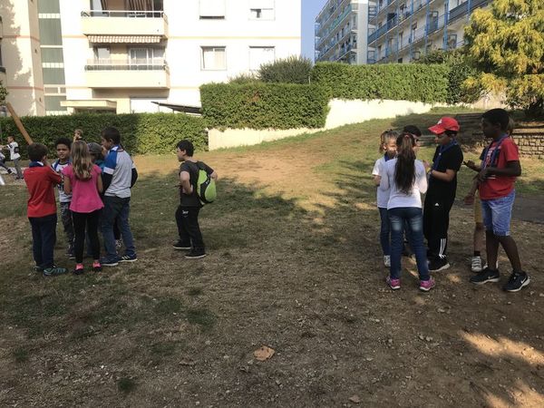Clicca per vedere l'immagine alla massima grandezza
