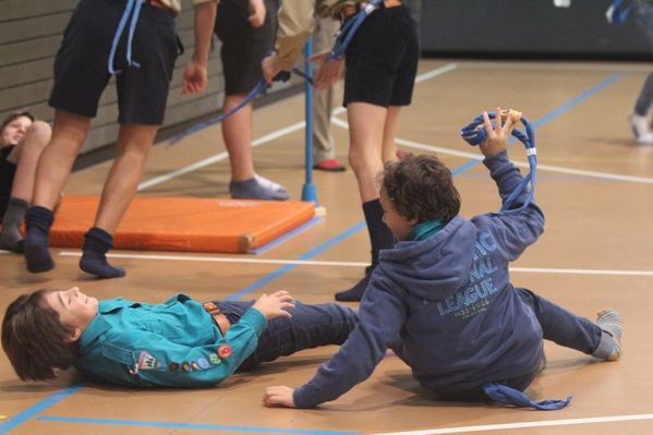 Clicca per vedere l'immagine alla massima grandezza