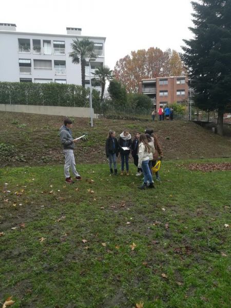 Clicca per vedere l'immagine alla massima grandezza
