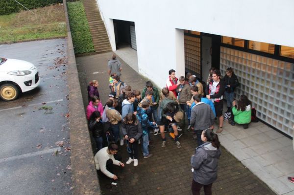Clicca per vedere l'immagine alla massima grandezza