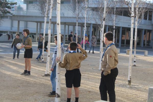 Clicca per vedere l'immagine alla massima grandezza