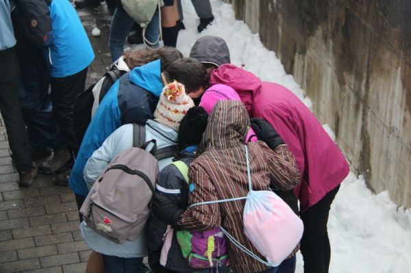 Clicca per vedere l'immagine alla massima grandezza