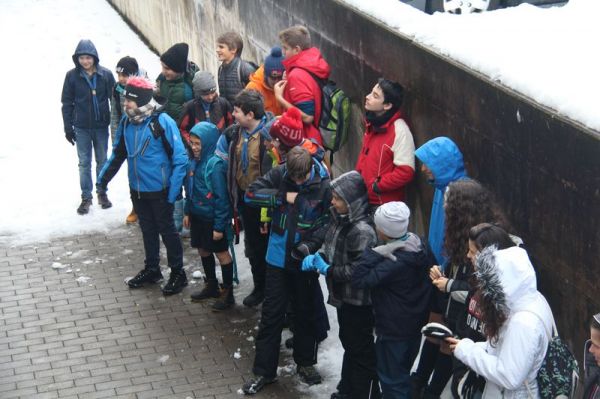 Clicca per vedere l'immagine alla massima grandezza
