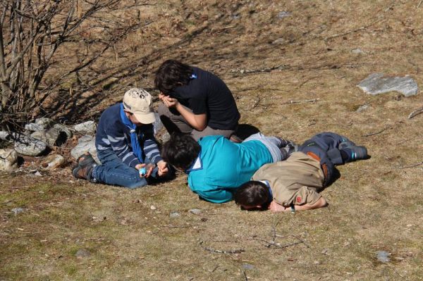 Clicca per vedere l'immagine alla massima grandezza
