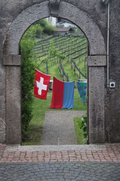 Clicca per vedere l'immagine alla massima grandezza