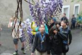 Filename=190418_ESPLO_CampoPasquale_061.jpg
Filesize=86KiB
Dimensions=800x533
Date added=May 26, 2019 190418_ESPLO_CampoPasquale_061.jpg