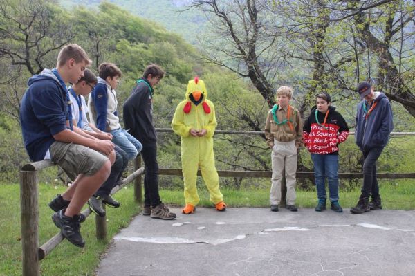 Clicca per vedere l'immagine alla massima grandezza