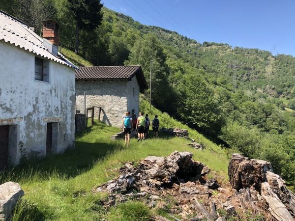 Clicca per vedere l'immagine alla massima grandezza