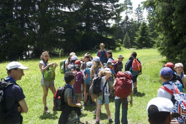 Clicca per vedere l'immagine alla massima grandezza