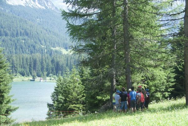 Clicca per vedere l'immagine alla massima grandezza