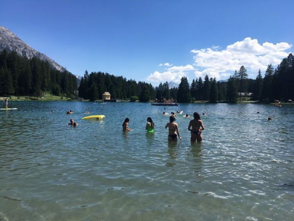 Clicca per vedere l'immagine alla massima grandezza