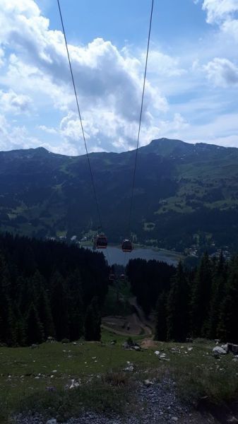 Clicca per vedere l'immagine alla massima grandezza