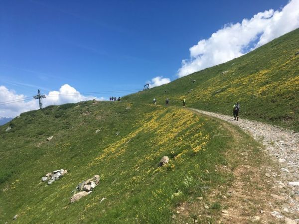 Clicca per vedere l'immagine alla massima grandezza