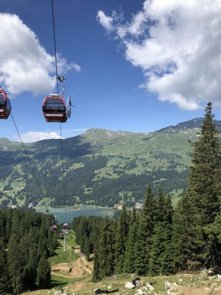 Clicca per vedere l'immagine alla massima grandezza