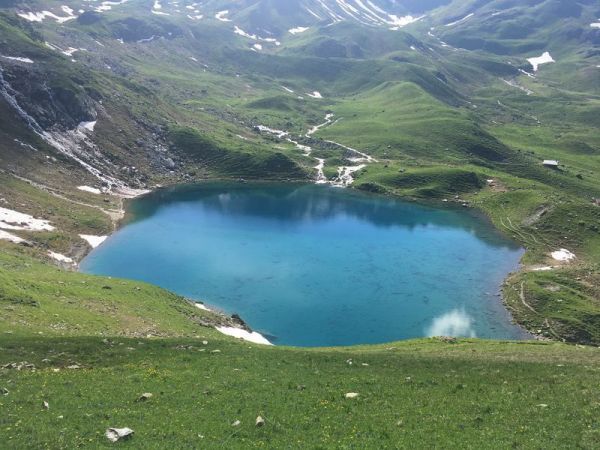 Clicca per vedere l'immagine alla massima grandezza