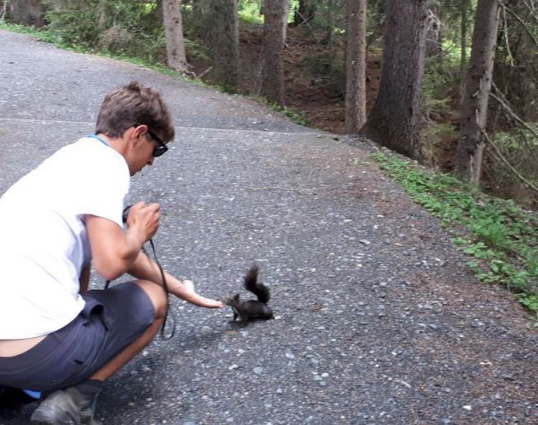 Clicca per vedere l'immagine alla massima grandezza