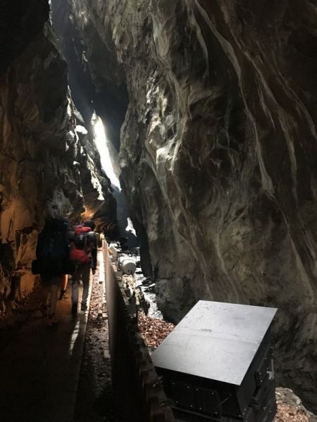 Clicca per vedere l'immagine alla massima grandezza