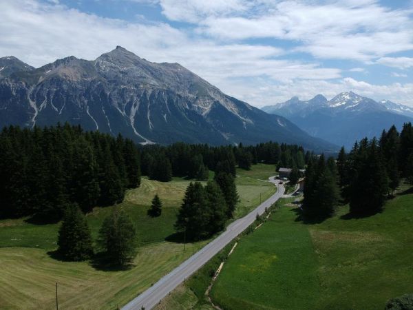 Clicca per vedere l'immagine alla massima grandezza