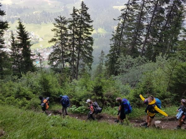 Clicca per vedere l'immagine alla massima grandezza