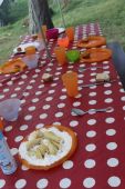 190630_REPARTO_CampoEstivo_135.jpg