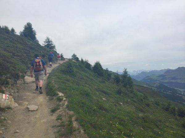Clicca per vedere l'immagine alla massima grandezza