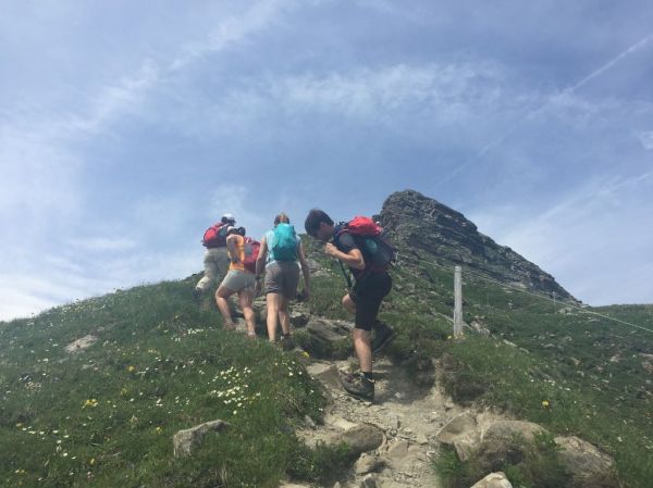 Clicca per vedere l'immagine alla massima grandezza
