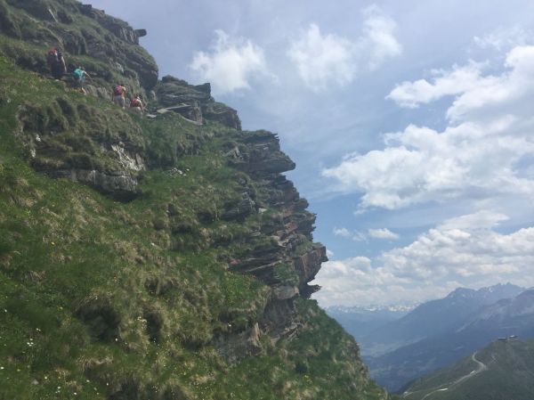 Clicca per vedere l'immagine alla massima grandezza