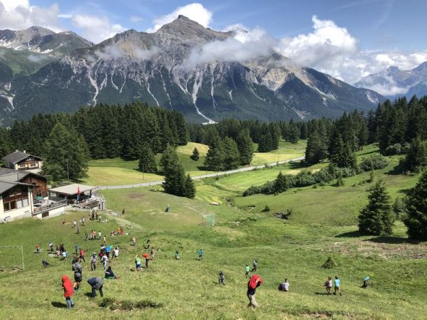 Clicca per vedere l'immagine alla massima grandezza